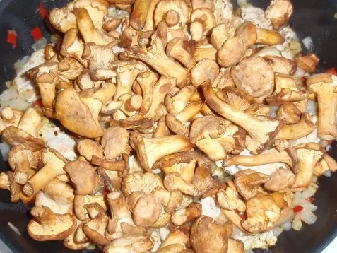 Rezept: Putenstreifen mit Pfifferlingen und Gemüsereis Bild Nr. 6 Putenstreifen mit Pfifferlingen und Gemüsereis - Rezept - Bild Nr. 6