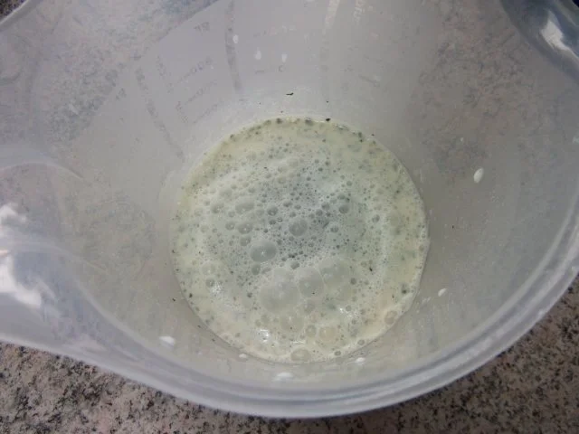 Bandnudeln mit Lachs auf 2 Arten nach Dieter´s Rezept. - Rezept - Bild Nr. 4