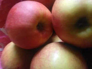 Apfelkompott "SEHR PIKANT"! - Rezept - Bild Nr. 2