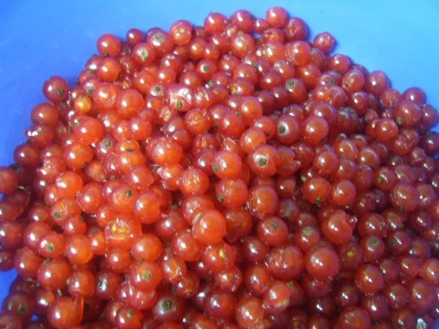 Johannisbeerkuchen - Rezept - Bild Nr. 6