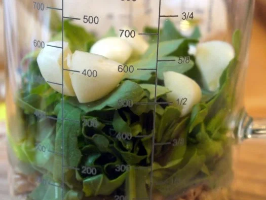 Walnuss-Rucola-Pesto - Rezept - Bild Nr. 5