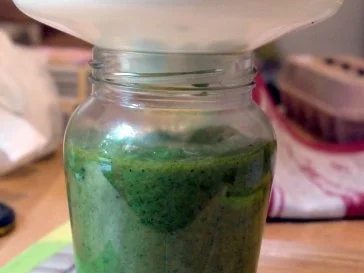 Walnuss-Rucola-Pesto - Rezept - Bild Nr. 8