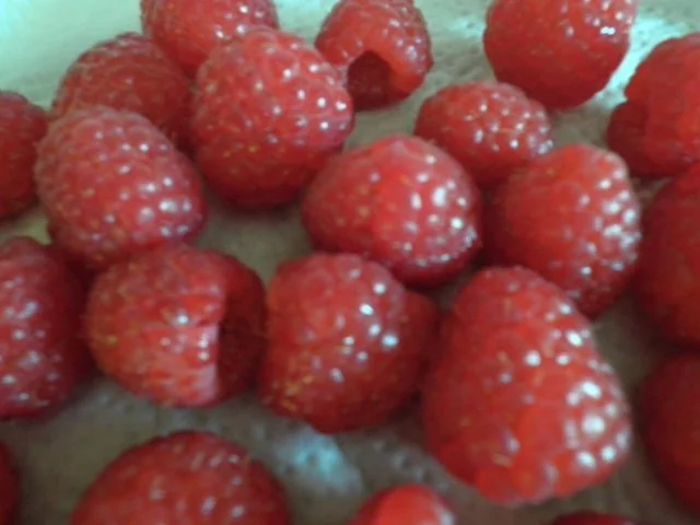 BITTE NICHT BEWERTEN !!! - Rezept - Bild Nr. 7