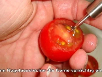 Kirschtomaten - eingelegt,  mit rezenter Frischkäsefüllung - Rezept - Bild Nr. 8