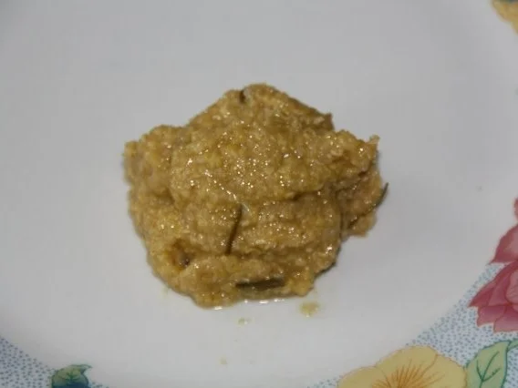 Rezept: Zwiebel - Knoblauch - Senf Bild Nr. 3 Zwiebel - Knoblauch - Senf - Rezept - Bild Nr. 3