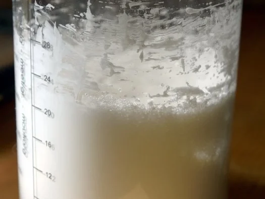 Mont Blanc - Rezept - Bild Nr. 3