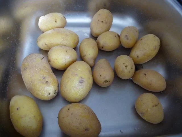 Süße Mahlzeiten : Quarkkeulchen - Rezept - Bild Nr. 3