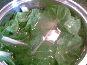 Mangoldröllchen mit Rinderhackfüllung - Rezept - Bild Nr. 2