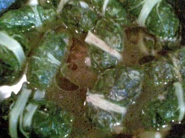 Mangoldröllchen mit Rinderhackfüllung - Rezept - Bild Nr. 7