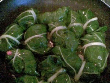 Mangoldröllchen mit Rinderhackfüllung - Rezept - Bild Nr. 5