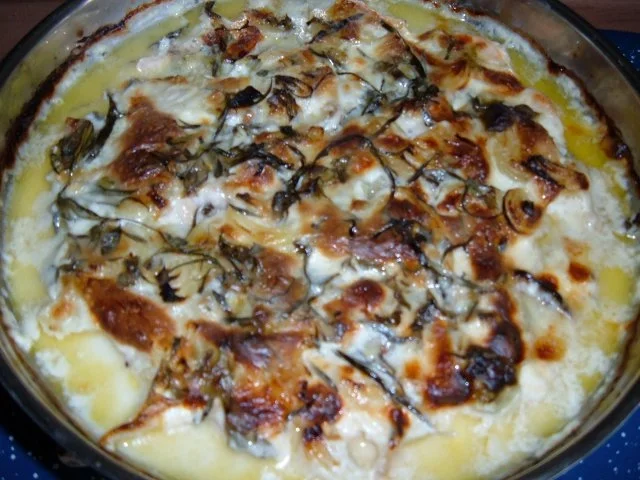 Gflügel : Hähnchenfilets mit Zwiebeln und Kräutern - Rezept - Bild Nr. 5