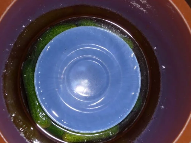 eingelegte Gewürzgurken - Rezept - Bild Nr. 11