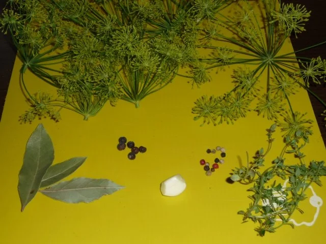 eingelegte Gewürzgurken - Rezept - Bild Nr. 6