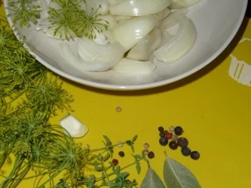 eingelegte Gewürzgurken - Rezept - Bild Nr. 9