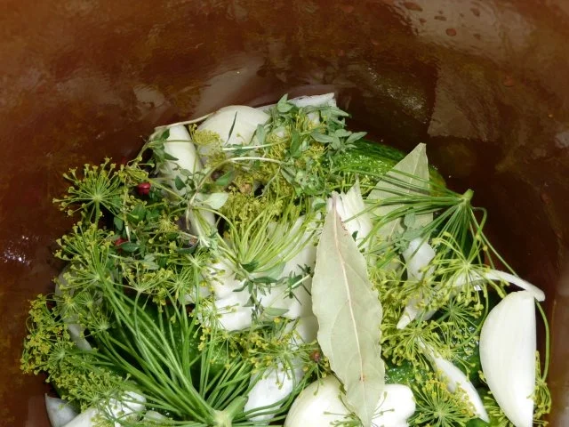 eingelegte Gewürzgurken - Rezept - Bild Nr. 10