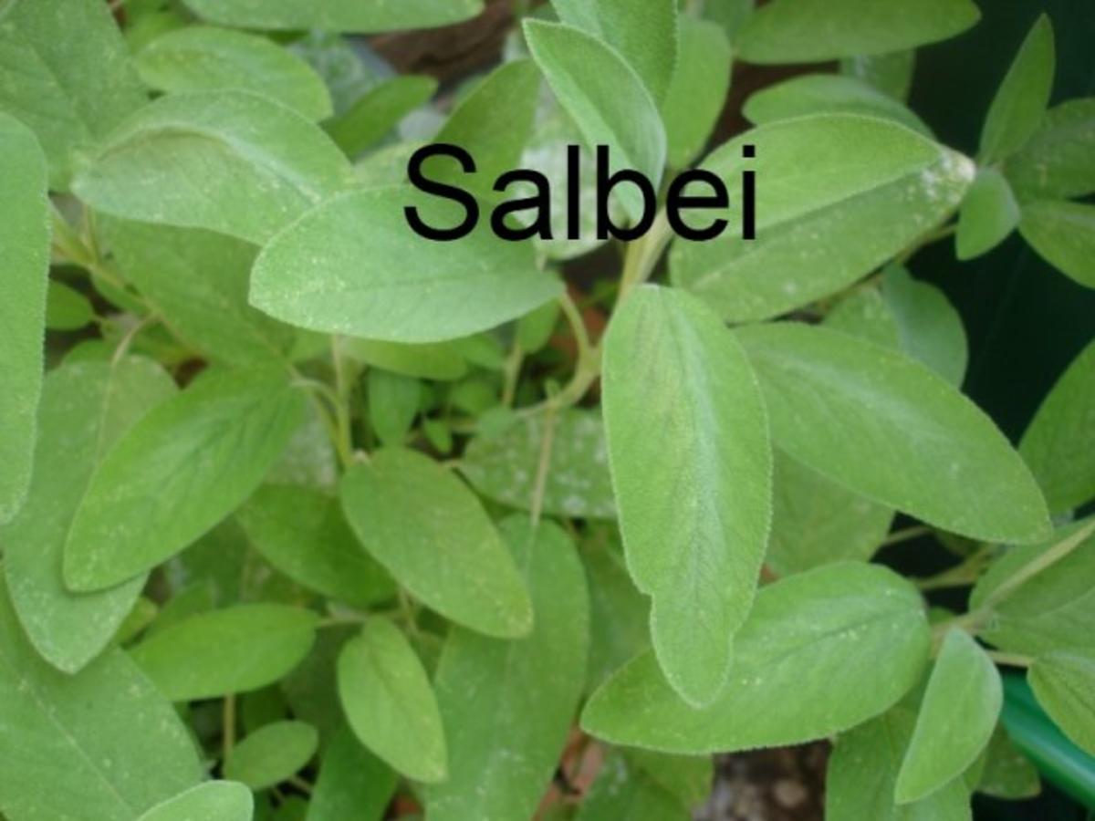 Minze-Salbei-Rosmarin-Buletten mit grünen Bohnen und Mais-Kartoffelpüree - Rezept - Bild Nr. 5