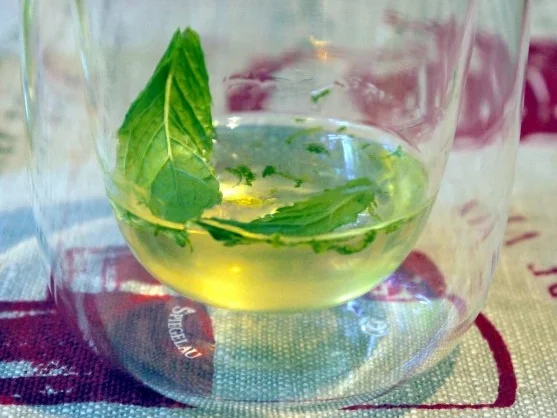 Rezept: Basil Bild Nr. 4 Basil - Rezept - Bild Nr. 4