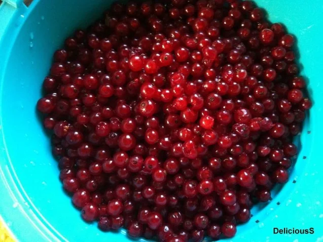 Johannisbeer - Blechkuchen - Rezept - Bild Nr. 2