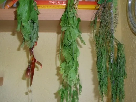 Wieder mal Reste aus der Pfanne - Rezept - Bild Nr. 8