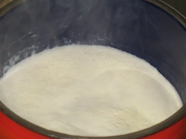 Dessert - Orangen-Panna-Cotta an Filets von Zitrusfrüchten - Rezept - Bild Nr. 3