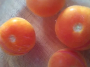 Rezept: Tomaten-Chutney "Orient und Italien" vereinigen sich!!! Bild Nr. 3 Tomaten-Chutney "Orient und Italien" vereinigen sich!!! - Rezept - Bild Nr. 3