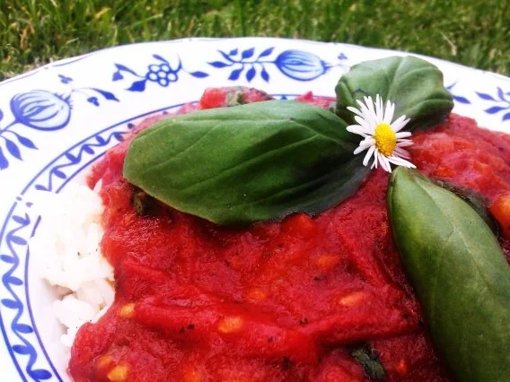 Tomatensauce aus frischen (Garten-)Tomaten - Rezept - Bild Nr. 2