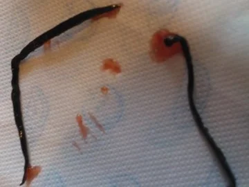 Erdbeer-Marmelade "Royal" {mit der Koenigin der Aromen = Vanille) - Rezept - Bild Nr. 5