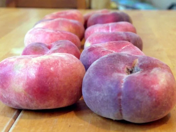 Samtige Marmelade aus Bergpfirsichen und Tonkabohne - Rezept - Bild Nr. 2