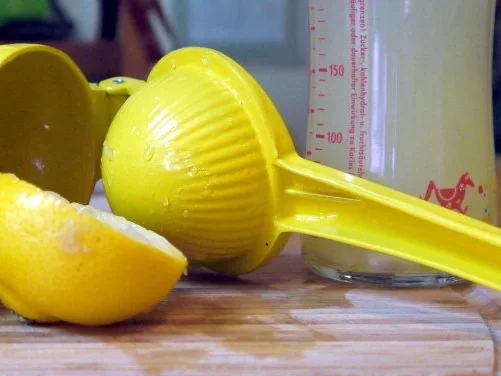 Zitronen-Honig-Ingwer-Creme mit Creme-Fraiche-Sauce - Rezept - Bild Nr. 3