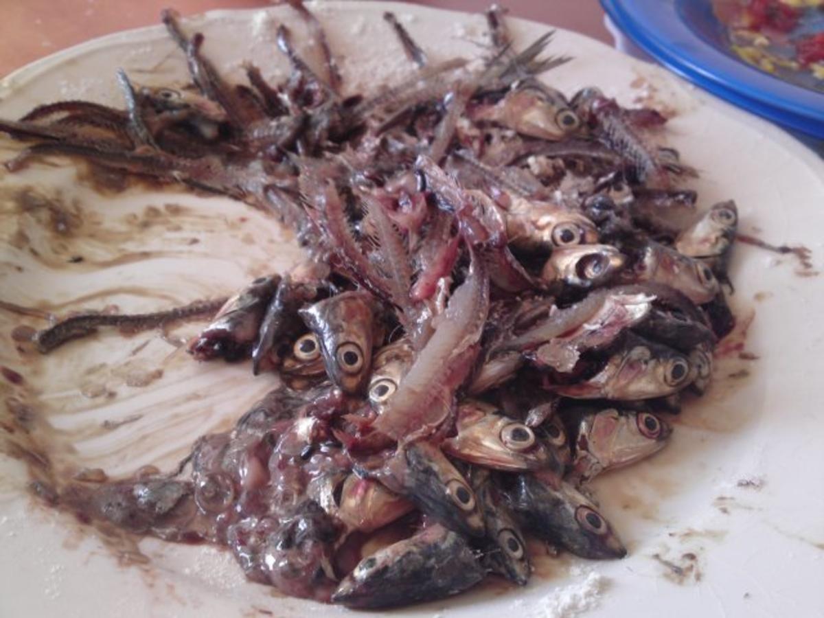 Gegrillte oder gebratene Sardinen Fisch Lecker *********** - Rezept