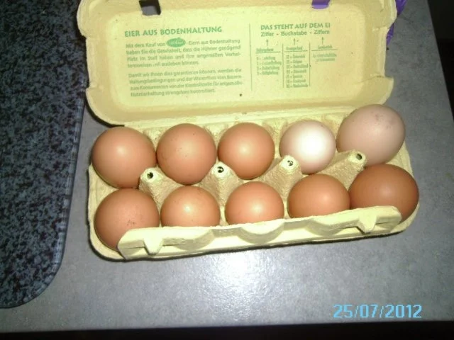 Rezept: Palatschinken mit selbstgemachter Marillenmarmelade Bild Nr. 3 Palatschinken mit selbstgemachter Marillenmarmelade - Rezept - Bild Nr. 3