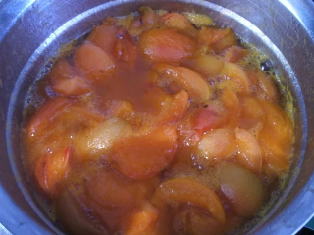 Rezept: Backen: Aprikosenkuchen, der Zweite Bild Nr. 4 Backen: Aprikosenkuchen, der Zweite - Rezept - Bild Nr. 4