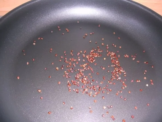 Rezept: Paradiesische Hähnchenrouladen mit Zucchinifüllung in Tomatensose Bild Nr. 4 Paradiesische Hähnchenrouladen mit Zucchinifüllung in Tomatensose - Rezept - Bild Nr. 4