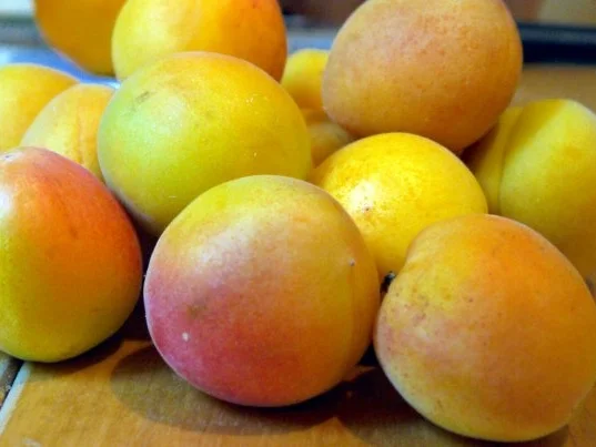 Aprikosen-Lavendel-Tarte - Rezept - Bild Nr. 5