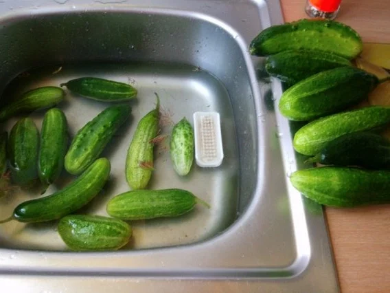 Rezept: Schnelle Gurke - Pfeffergurke Bild Nr. 5 Schnelle Gurke - Pfeffergurke - Rezept - Bild Nr. 5