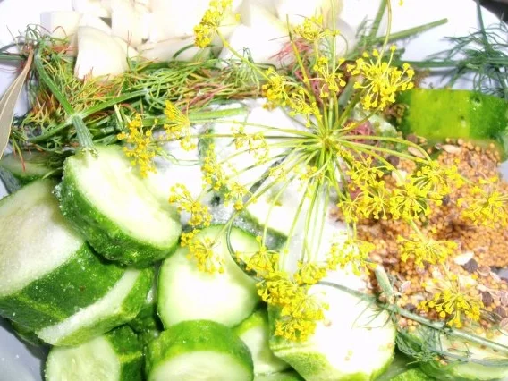 Rezept: Schnelle Gurke - Pfeffergurke Bild Nr. 8 Schnelle Gurke - Pfeffergurke - Rezept - Bild Nr. 8