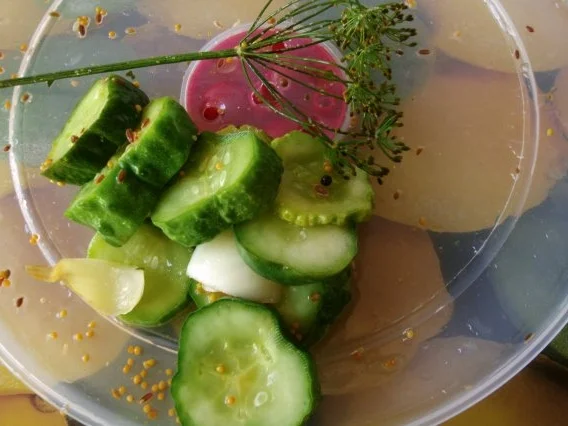 Rezept: Schnelle Gurke - Pfeffergurke Bild Nr. 10 Schnelle Gurke - Pfeffergurke - Rezept - Bild Nr. 10