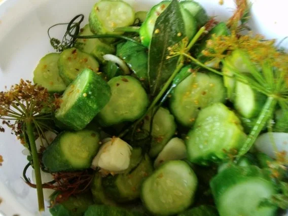 Rezept: Schnelle Gurke - Pfeffergurke Bild Nr. 2 Schnelle Gurke - Pfeffergurke - Rezept - Bild Nr. 2