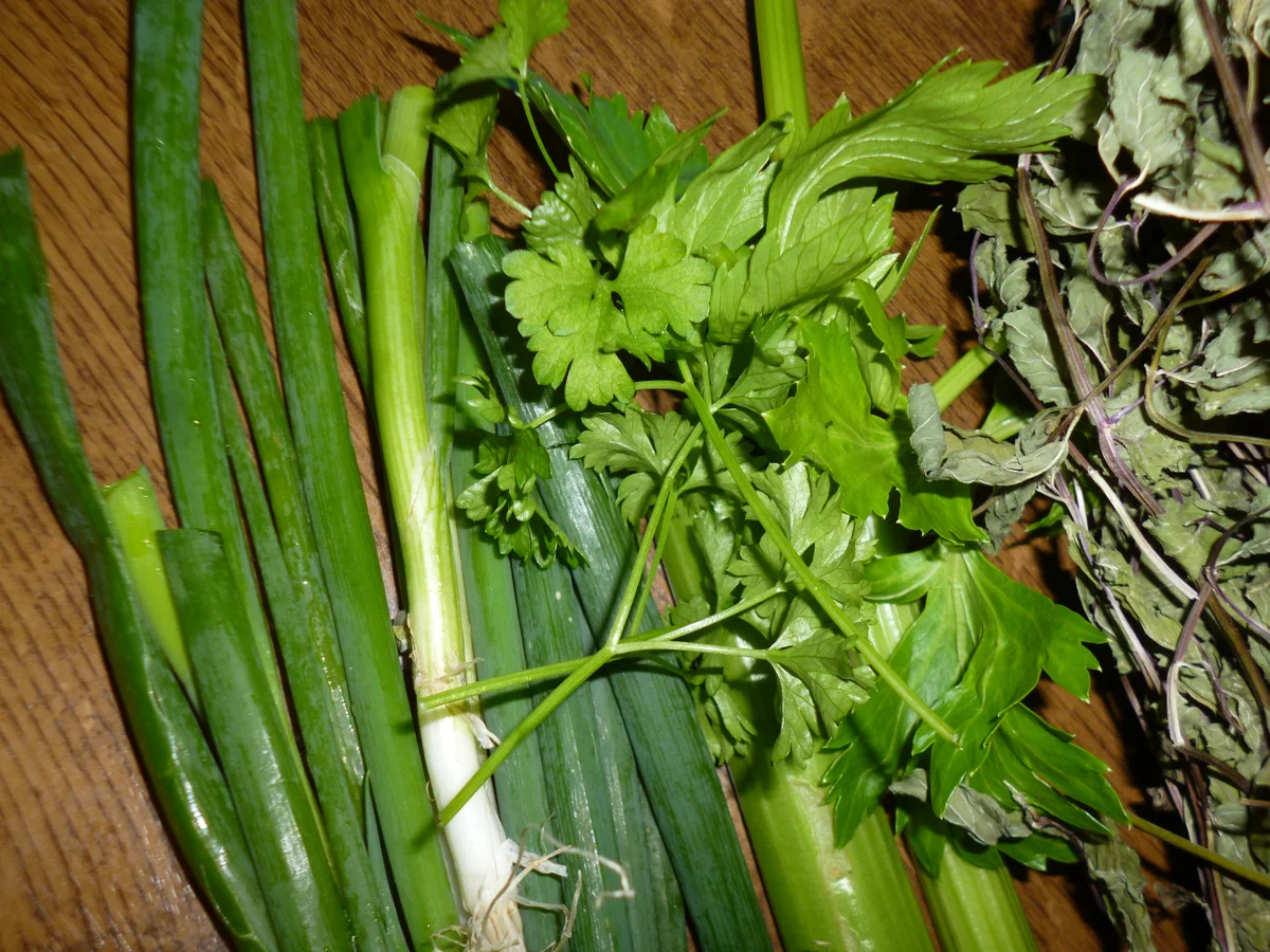 Suppenkräuter Gewürzmischung - Rezept - Bild Nr. 2491