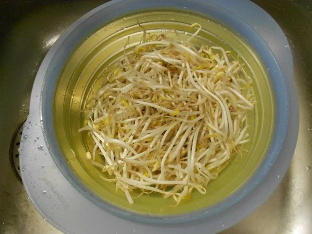 Rezept: Pad Thai Gai (warmer) thailändischer Nudelsalat mit Huhn Bild Nr. 12 Pad Thai Gai (warmer) thailändischer Nudelsalat mit Huhn - Rezept - Bild Nr. 12