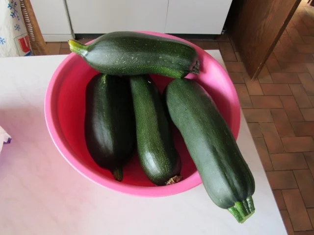 Zucchini Creme Suppe frisch aus dem Garten... - Rezept - Bild Nr. 2