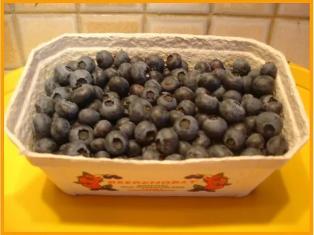 Blaubeeren-Jogurt-Quark - Rezept - Bild Nr. 2