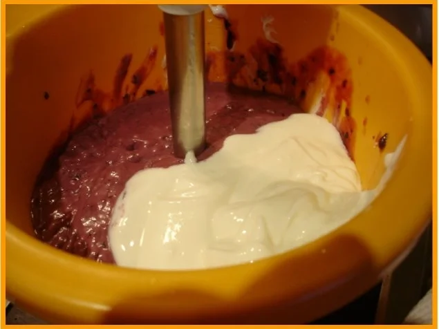 Blaubeeren-Jogurt-Quark - Rezept - Bild Nr. 6