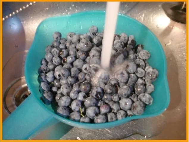 Blaubeeren-Jogurt-Quark - Rezept - Bild Nr. 3