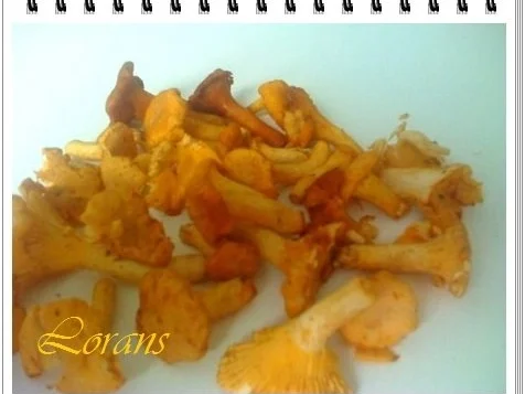 Rezept: ❈ Omelett mit Schinkenspeck und Pfifferlingen ❈ Bild Nr. 2 ❈ Omelett mit Schinkenspeck und Pfifferlingen ❈ - Rezept - Bild Nr. 2