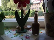 Rezept: Mokka-Sahne-Likör Mokka-Sahne-Likör - Rezept