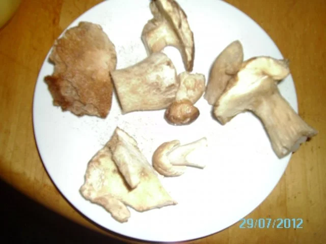 Rezept: Panierter Steinpilz mit Petersilkartoffeln Bild Nr. 5 Panierter Steinpilz mit Petersilkartoffeln - Rezept - Bild Nr. 5