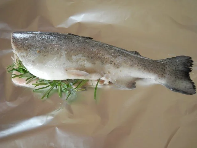 Forelle gegrillt - Rezept - Bild Nr. 3