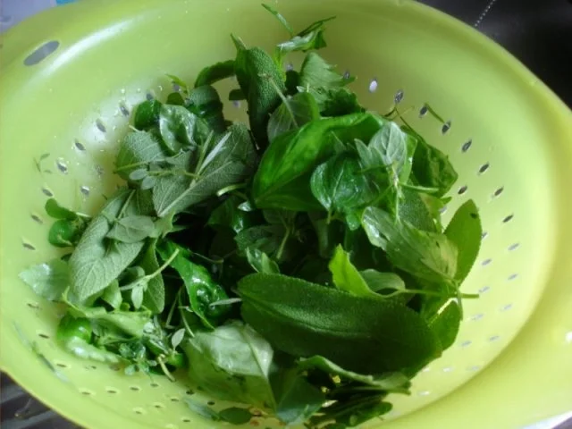 Kräuter-Pesto à la Papa - Rezept - Bild Nr. 3