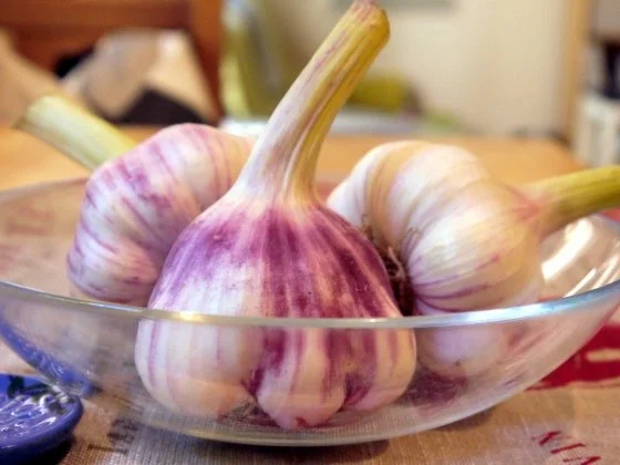 Rezept: Karamellisierter Knoblauch Bild Nr. 2 Karamellisierter Knoblauch - Rezept - Bild Nr. 2